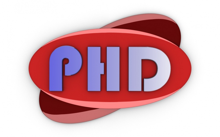 PHD Logoarbeit I