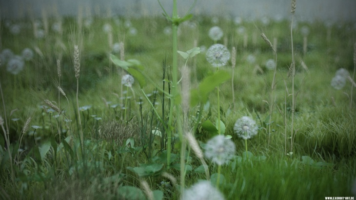 Real Ground Plants