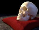 3D Bild: Skull